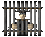  -jail- 